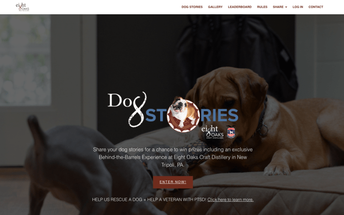 dog stories microsite